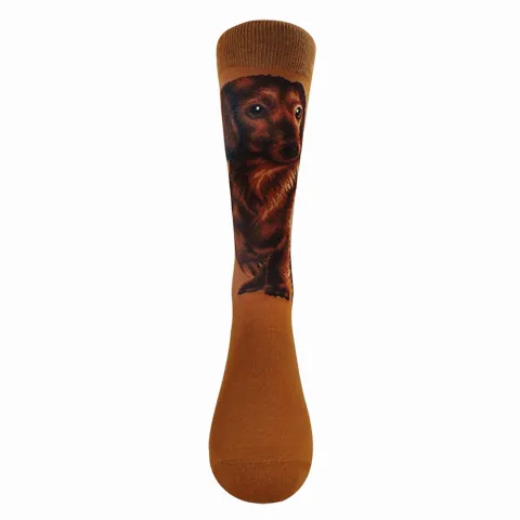 Dogs - Dachshund One Size