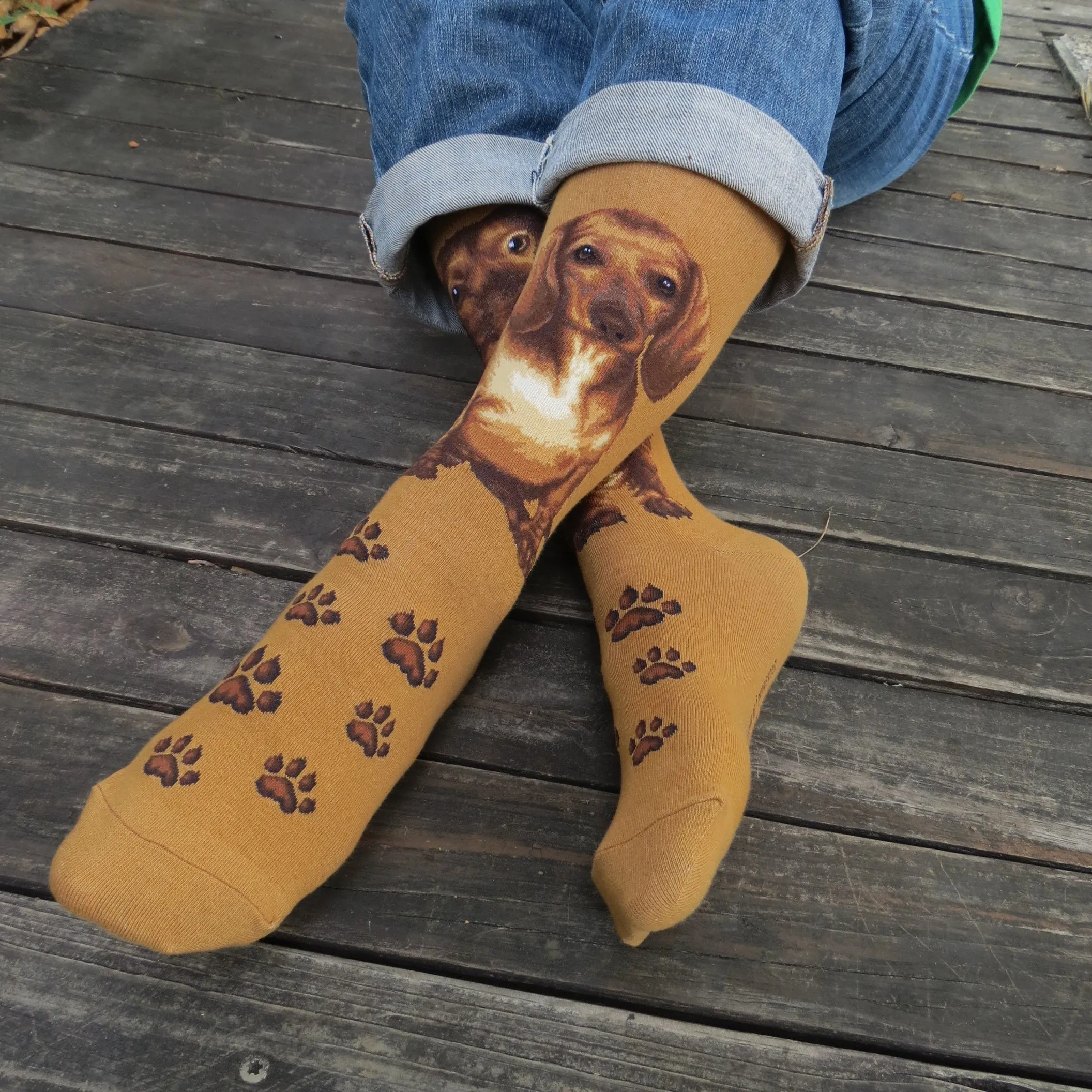 Dogs - Dachshund One Size