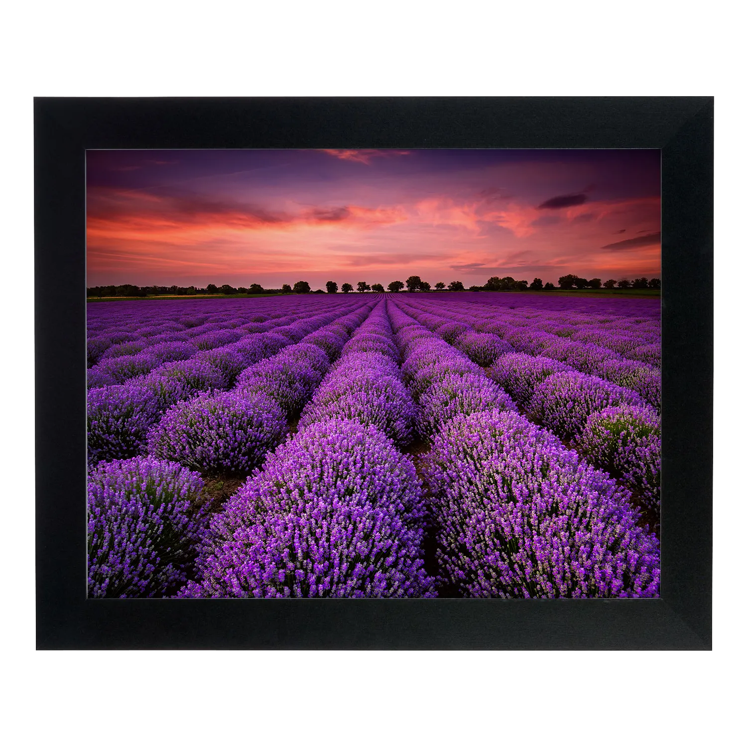 Framed Prints