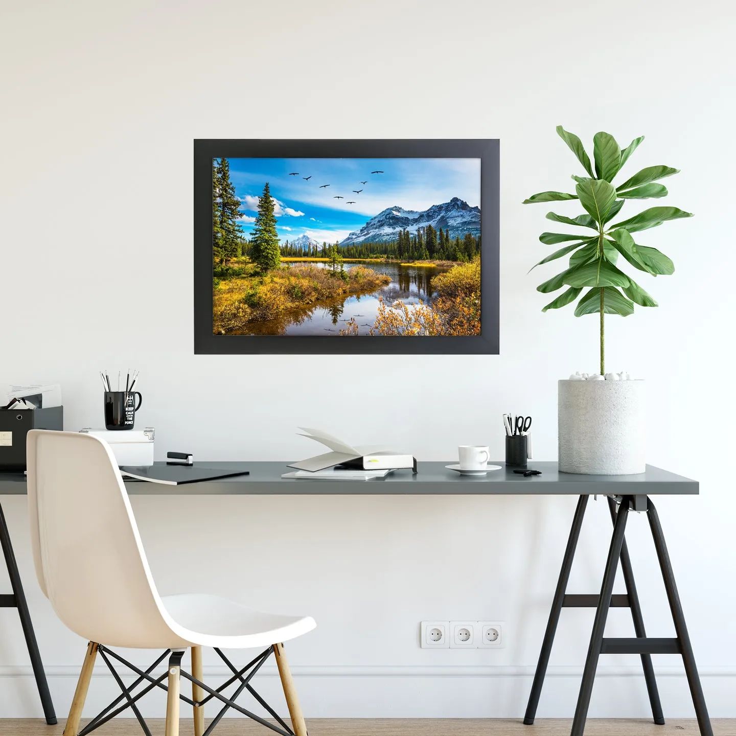 Framed Prints
