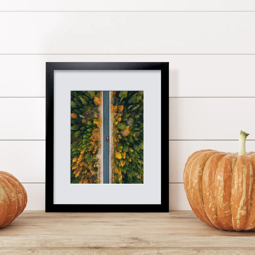 Framed Prints