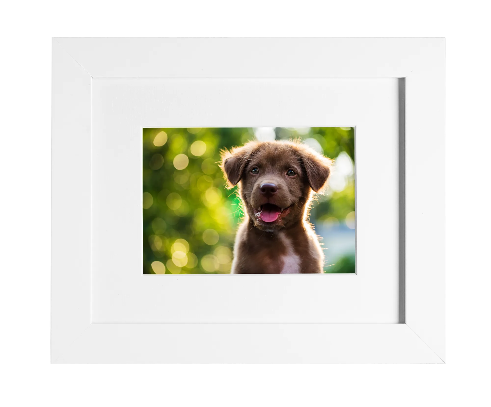 Framed Prints