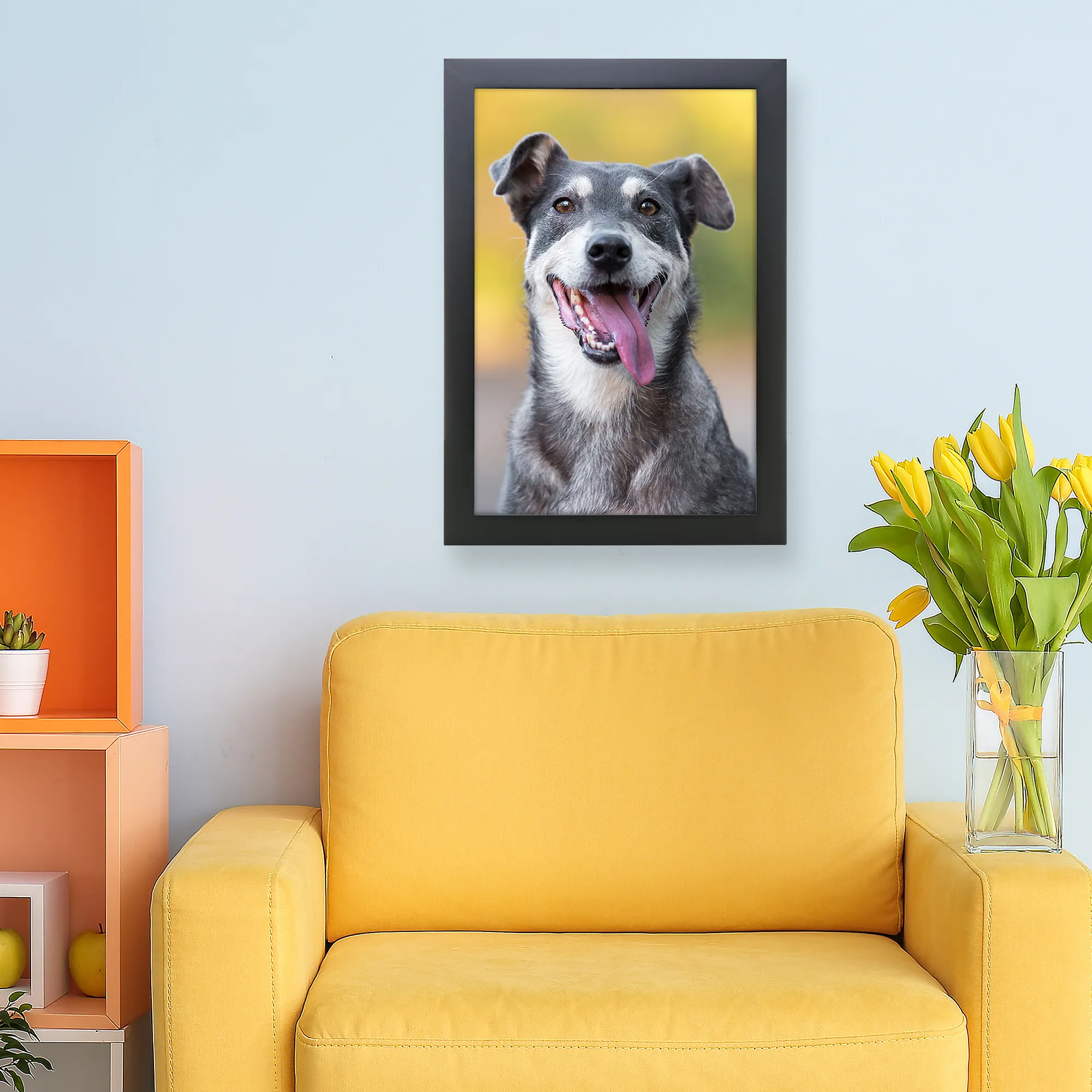 Framed Prints