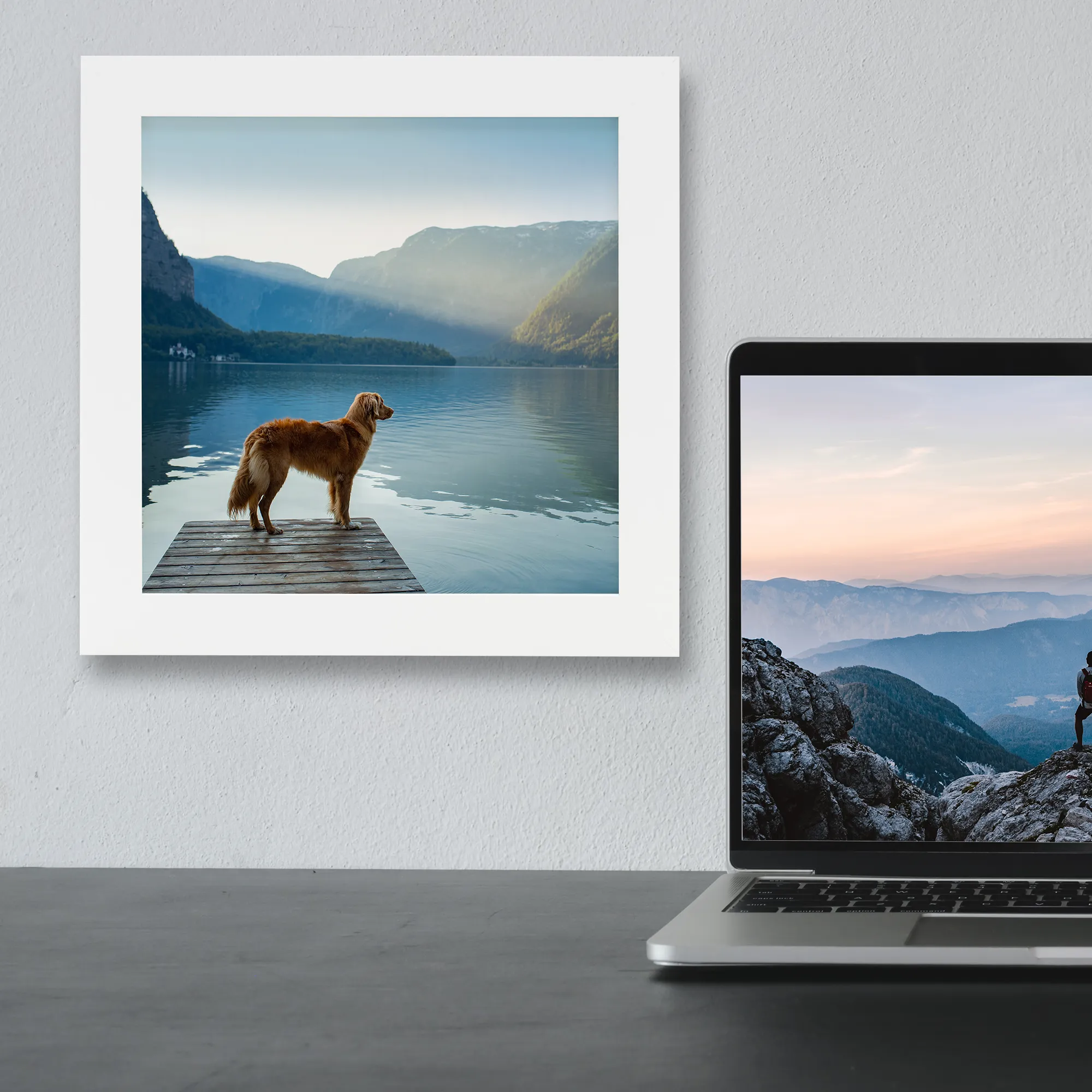 Framed Prints