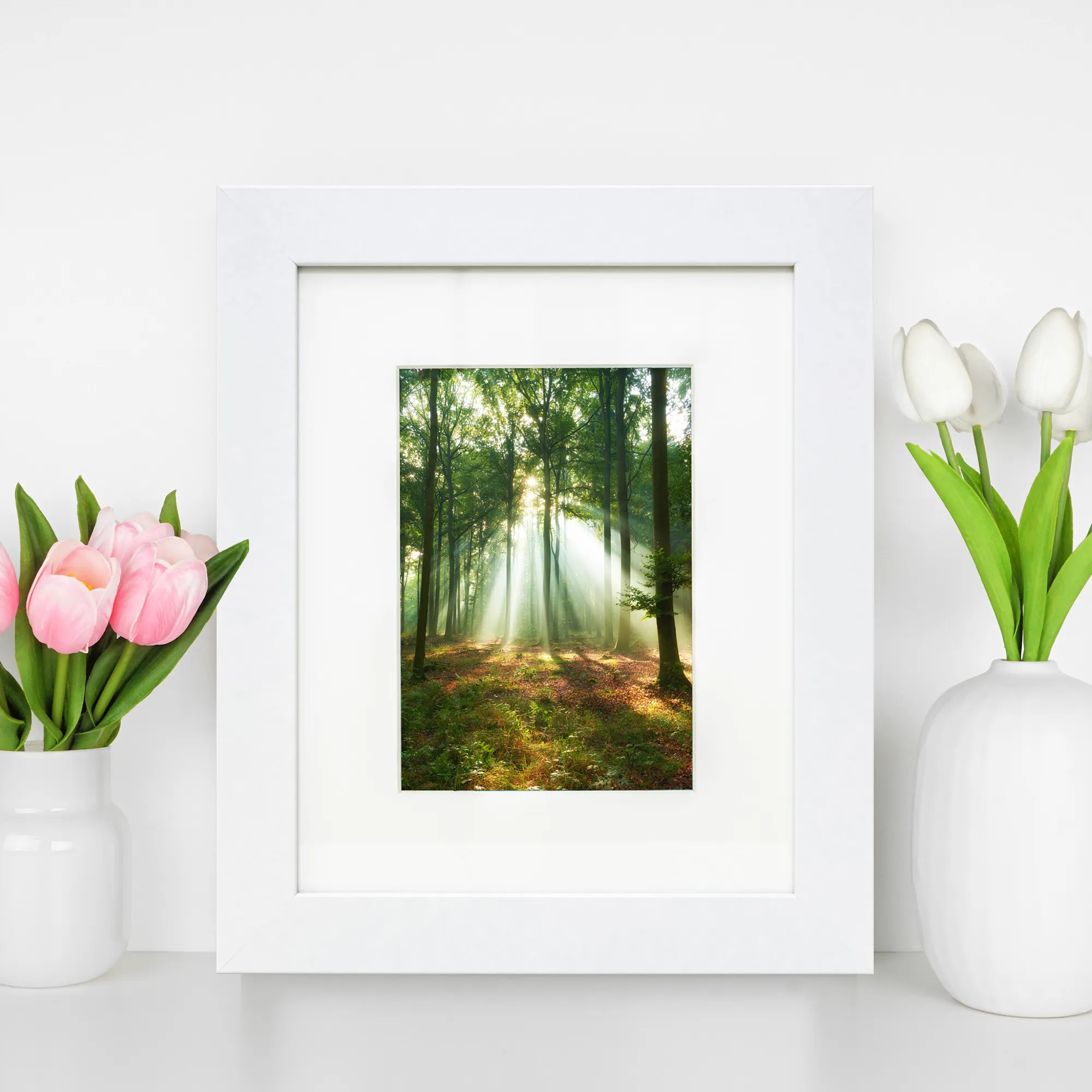Framed Prints