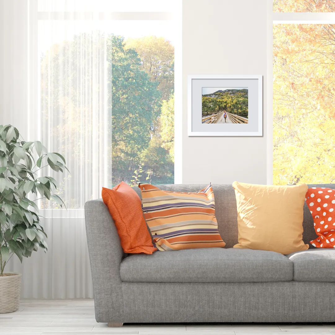 Framed Prints